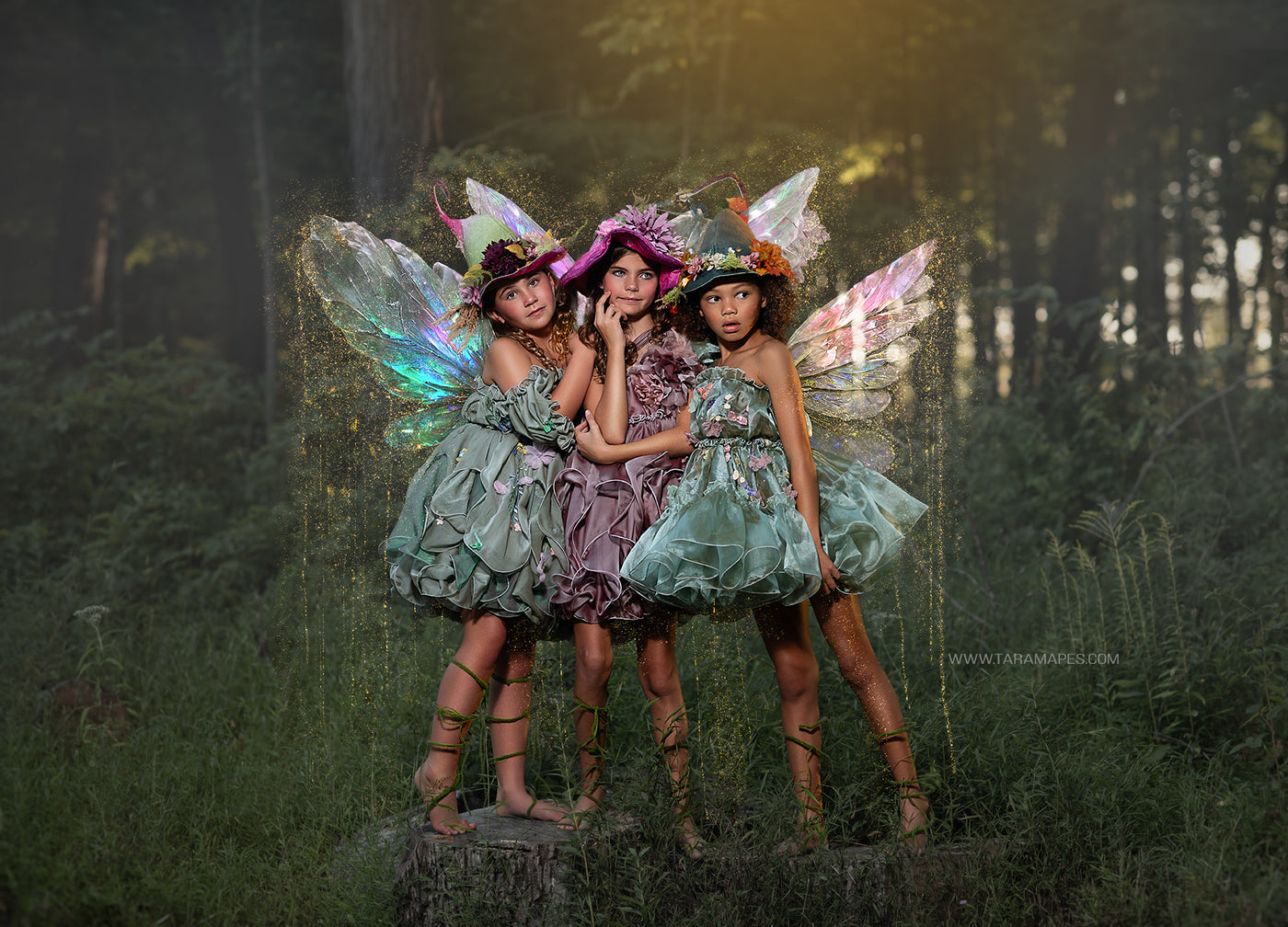 The Woodland Fairy Dress