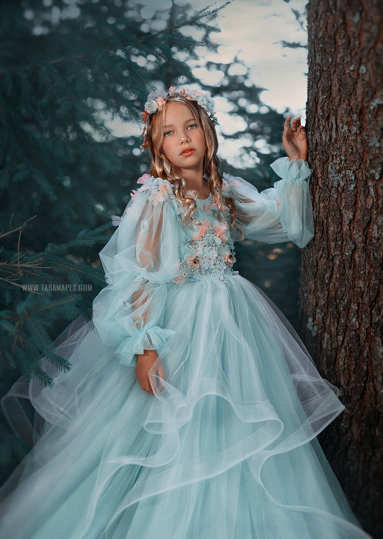 Serenity Gown in Mint and Blue