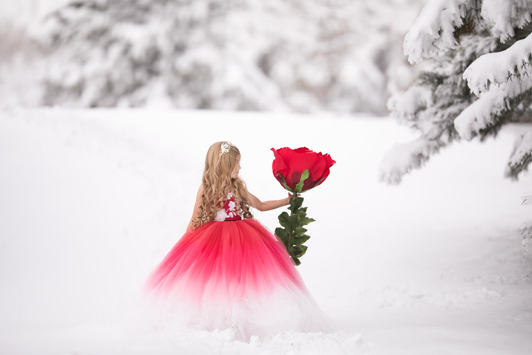Amaryllis Gown in Red Ombre