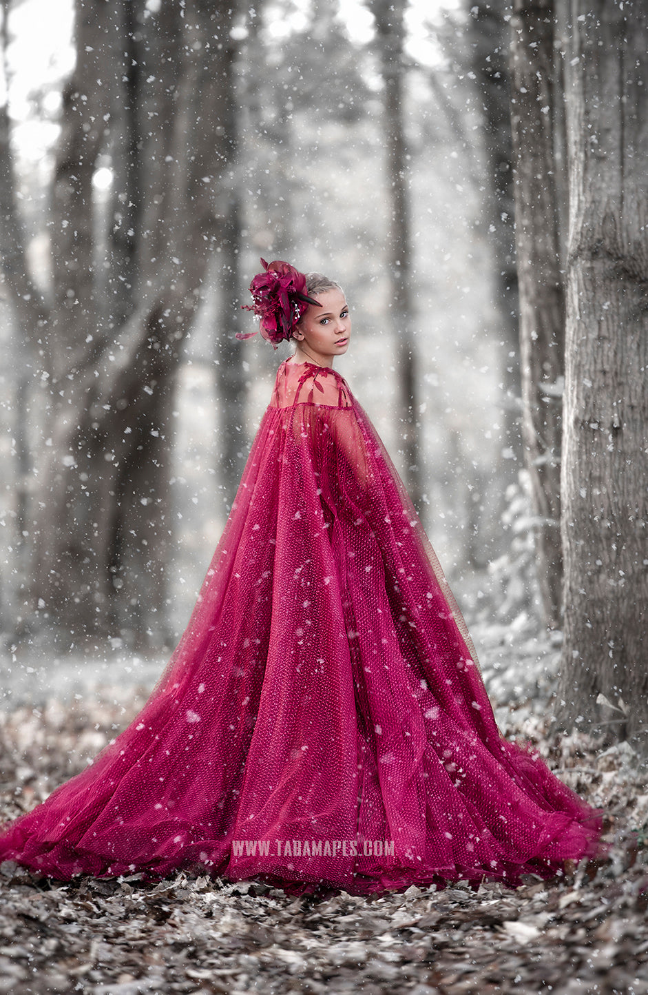 Crimson Poise Gown