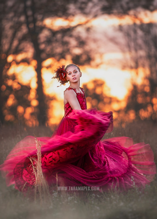 Crimson Poise Gown