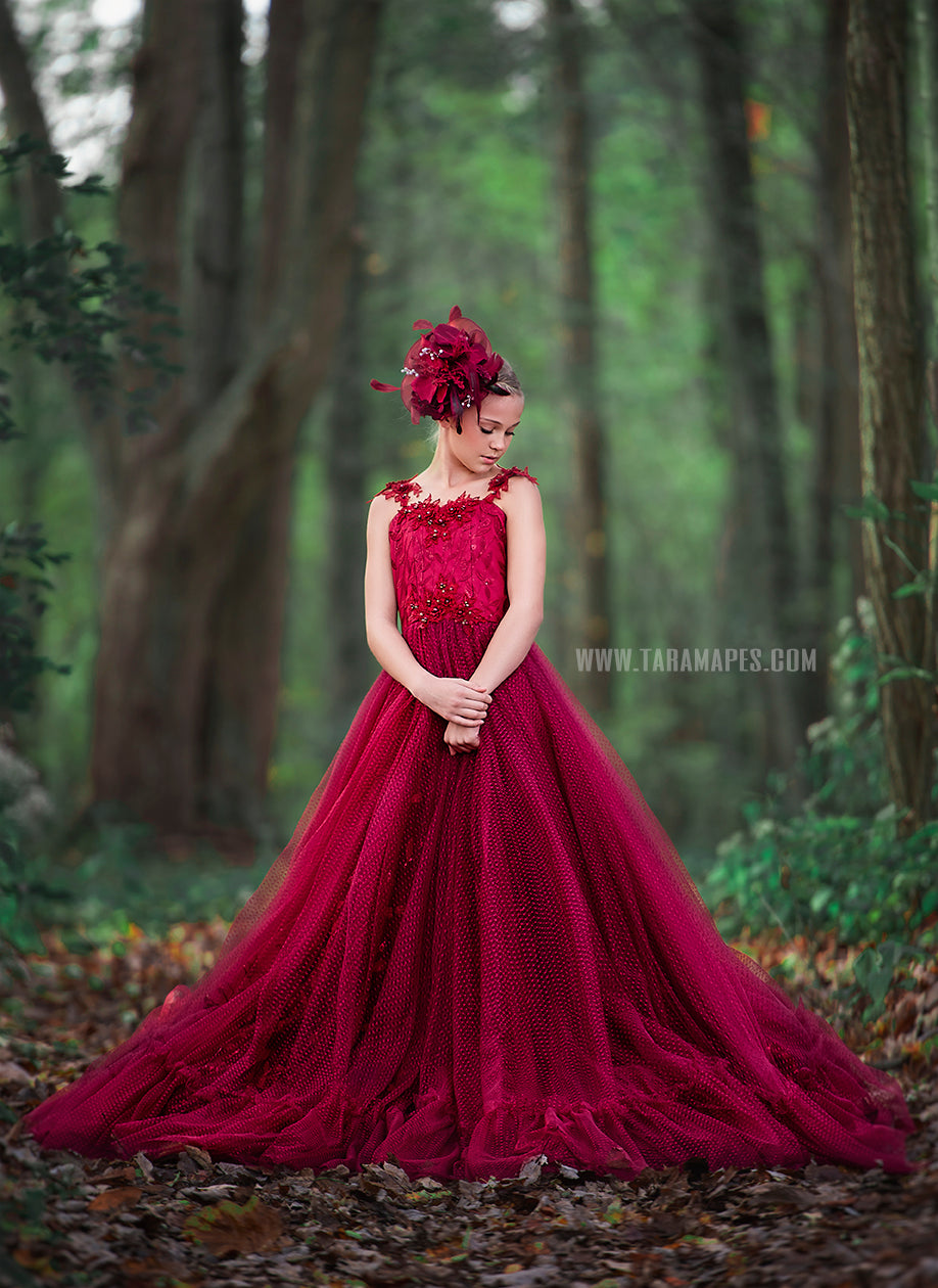 Crimson Poise Gown