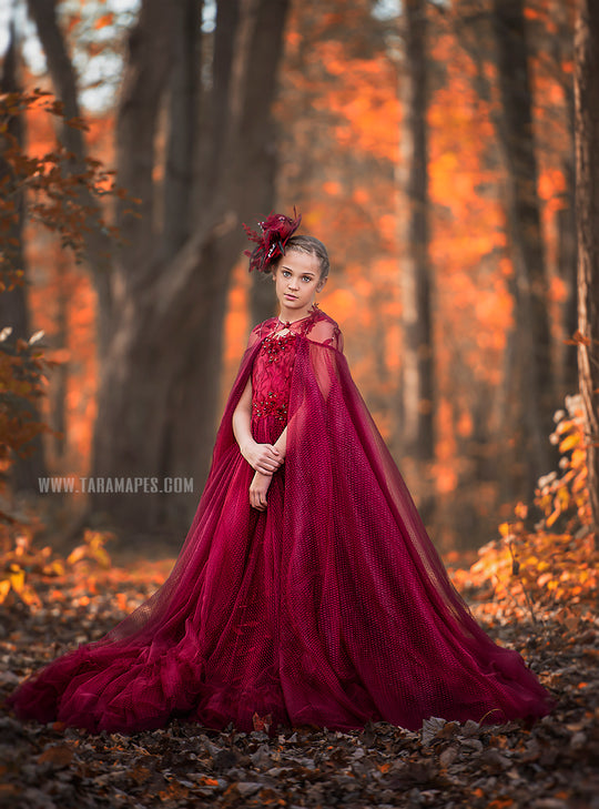 Crimson Poise Gown