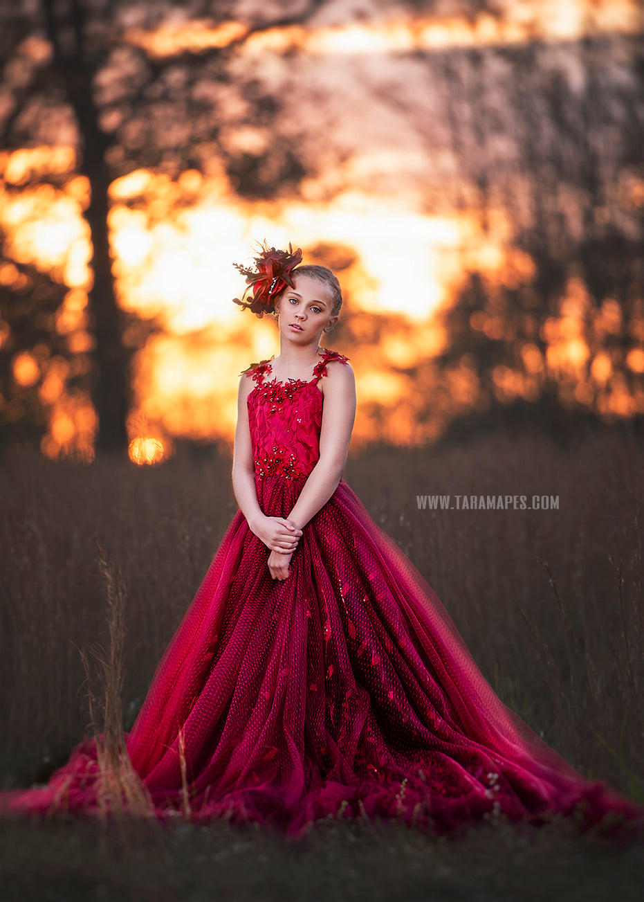 Crimson Poise Gown