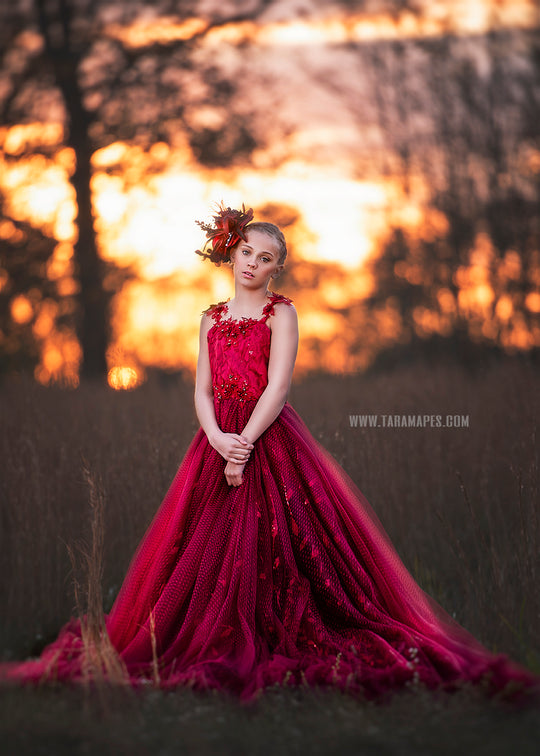 Crimson Poise Gown