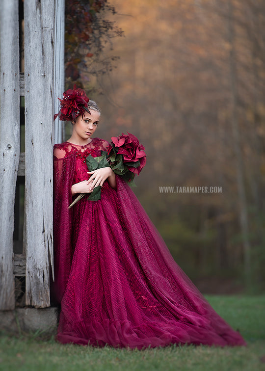 Crimson Poise Gown
