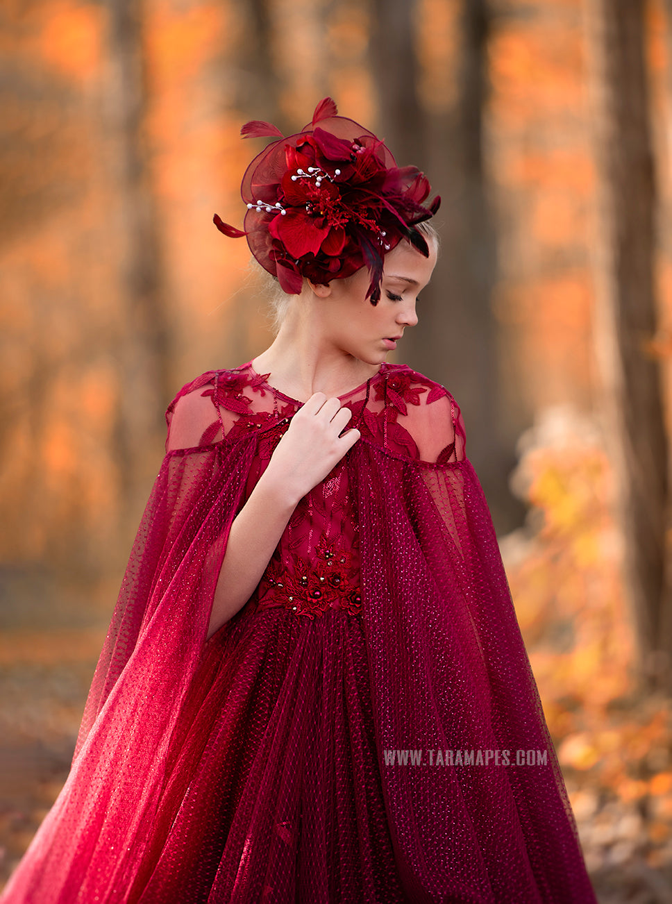 Crimson Poise Gown