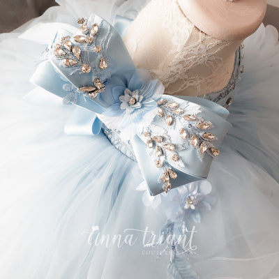 Elegance Gown in Powder Blue