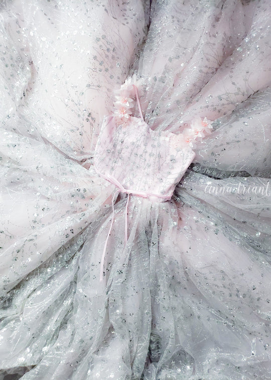 Moonstone Gown in Pink &amp; Silver