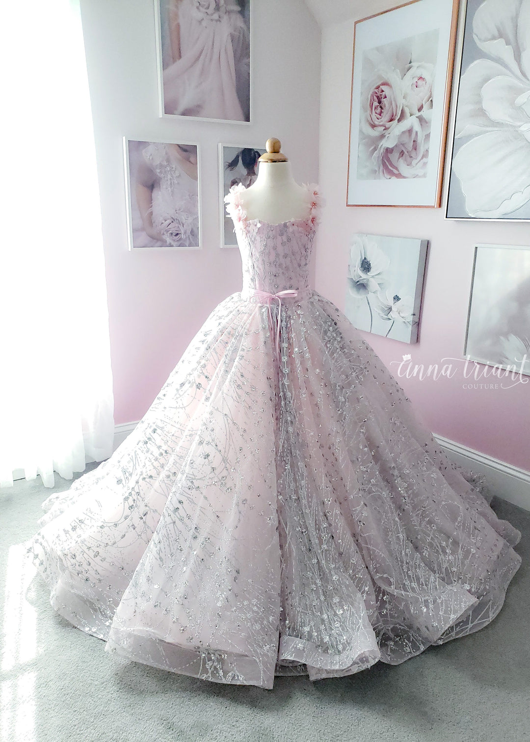 Moonstone Gown in Pink &amp; Silver