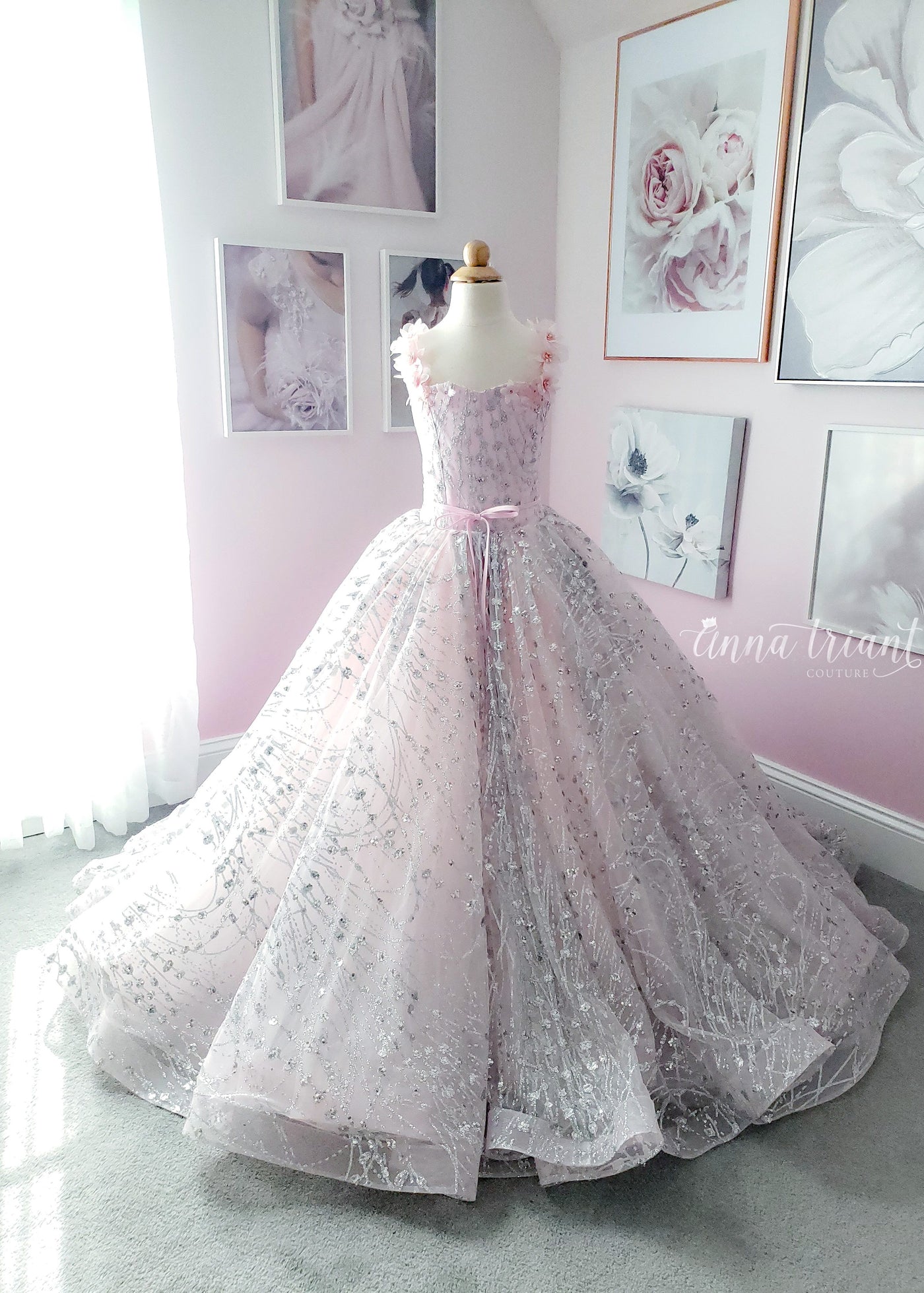 Moonstone Gown in Pink & Silver