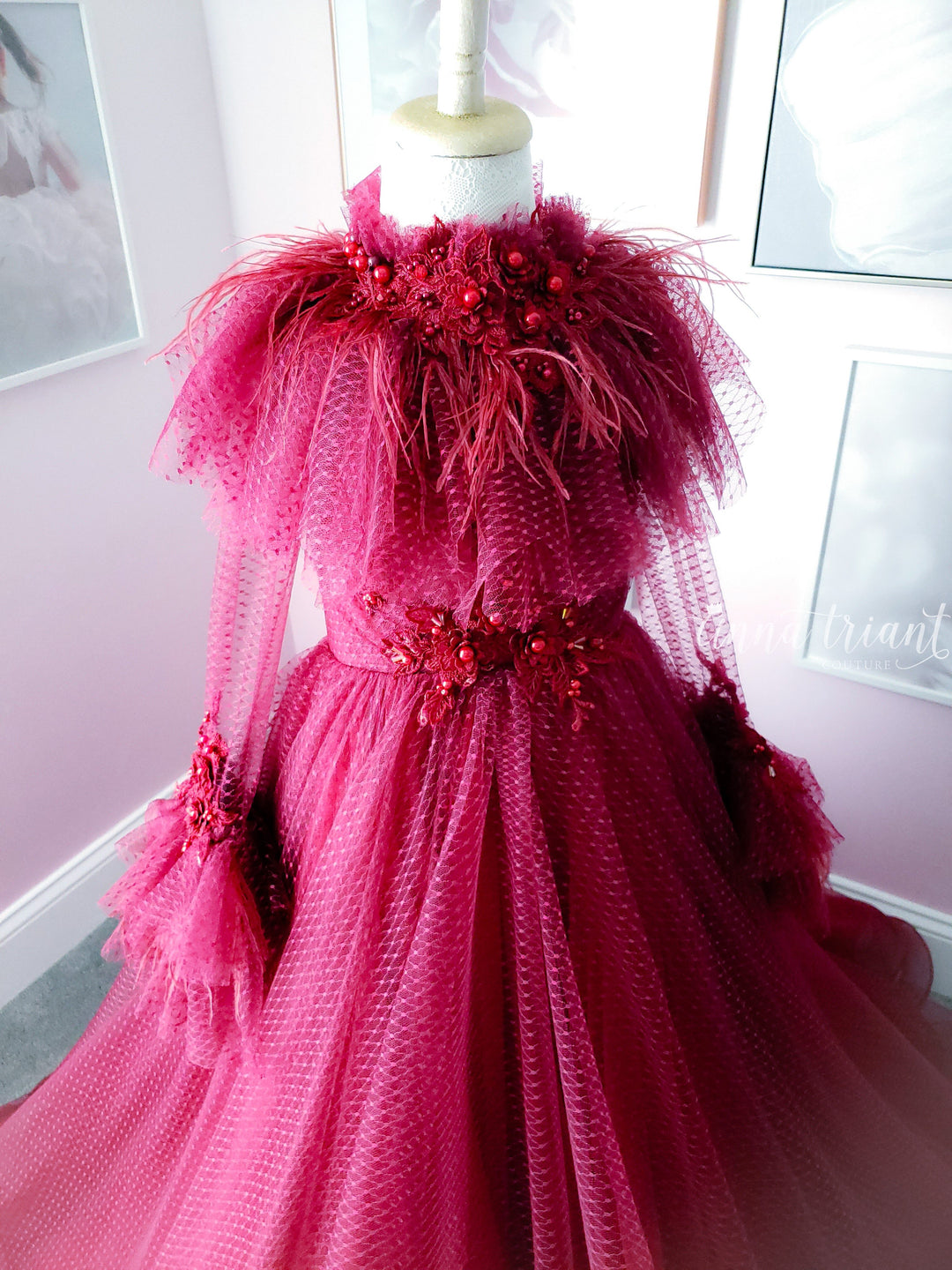 Painted in Rouge Gown