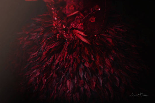 Phoenix Gown