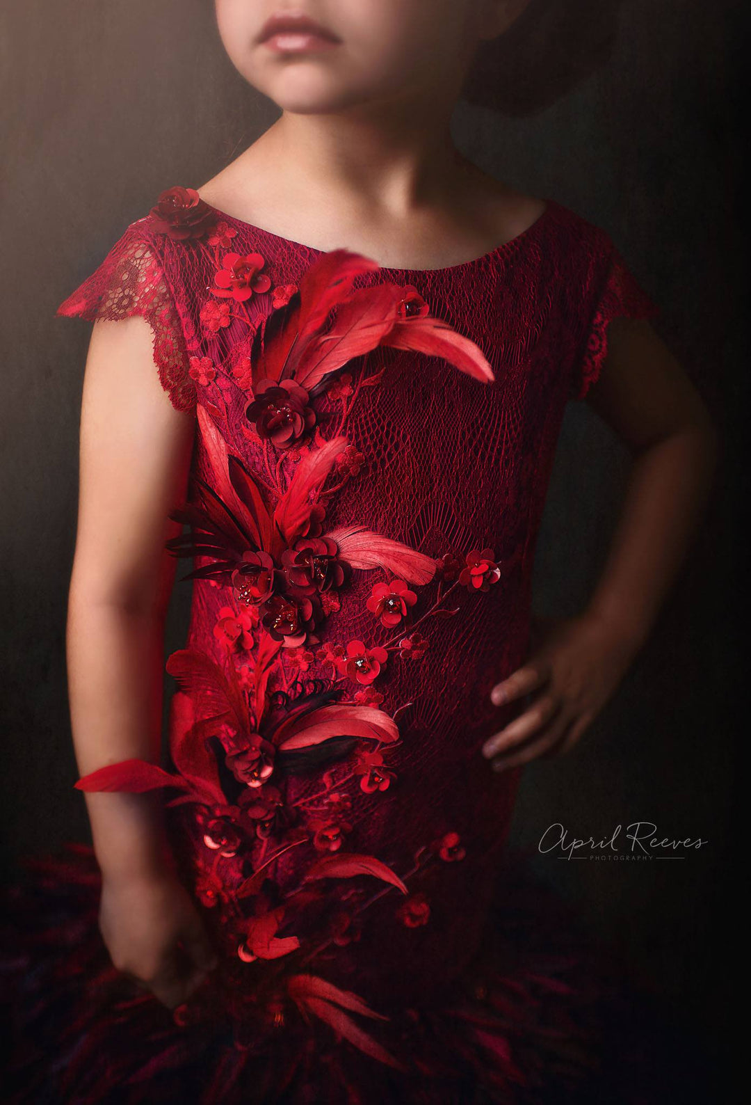 Phoenix Gown