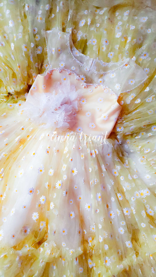 She Loves Me, She Loves Me Not Gown
