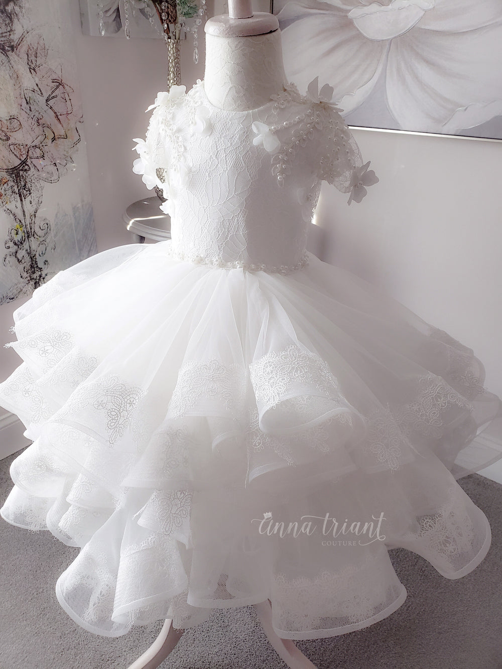 Sheer Romance Dress