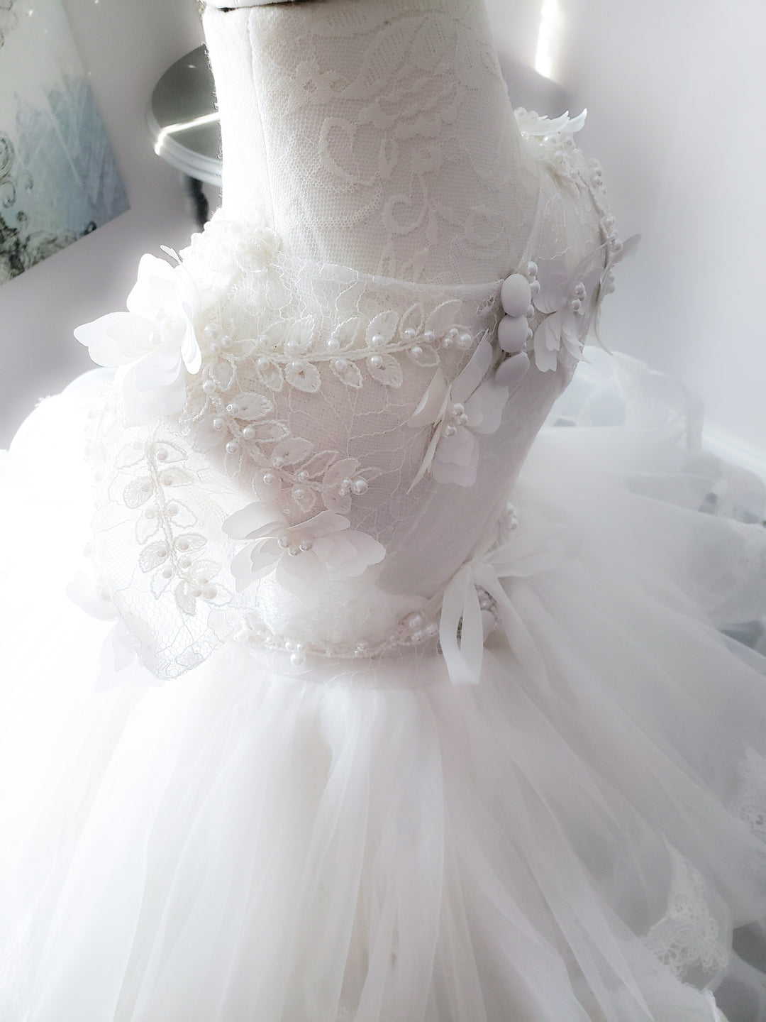 Sheer Romance Dress