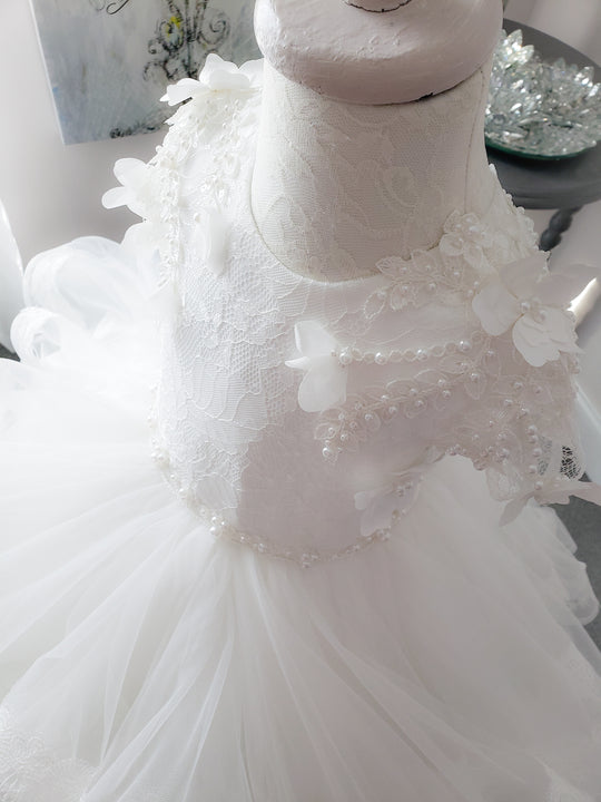 Sheer Romance Dress