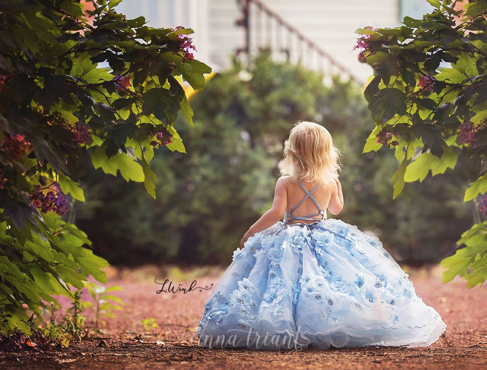 Skylar Gown
