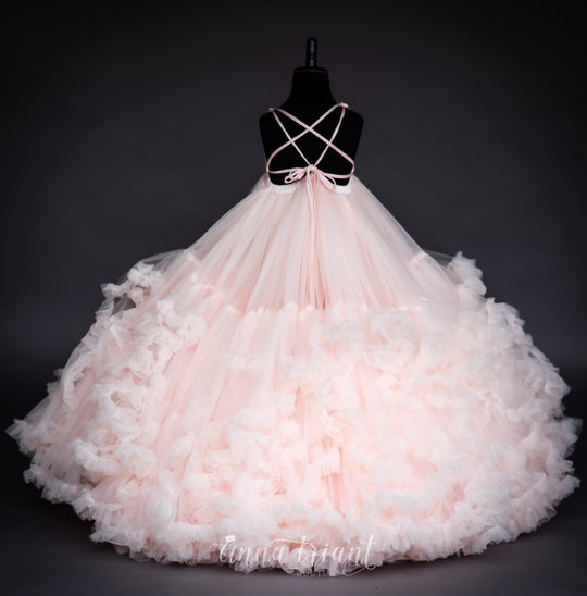 Sumptuous Gown