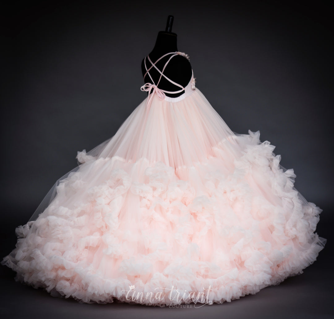 Sumptuous Gown